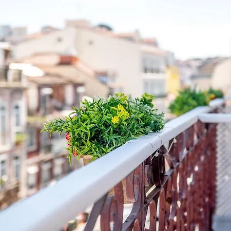 B&B Wine House - & 리스본